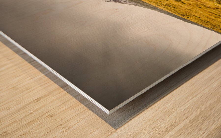 Mount Arrowsmith Tasmania Australia Wood print