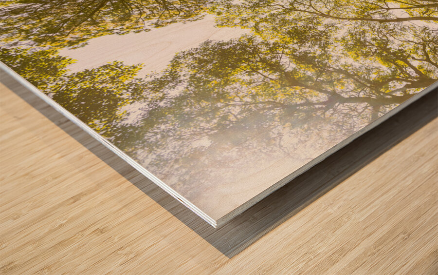 Open airs Wood print