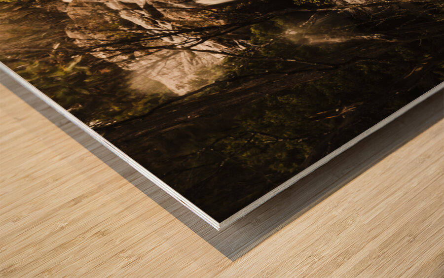 Arve Falls Tasmania Wood print