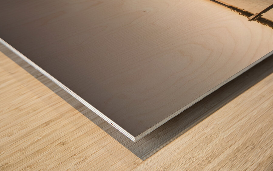 Endings and beginnings Wood print