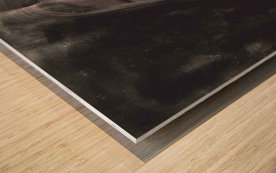 Sinister portrait of scary vampire woman Wood print