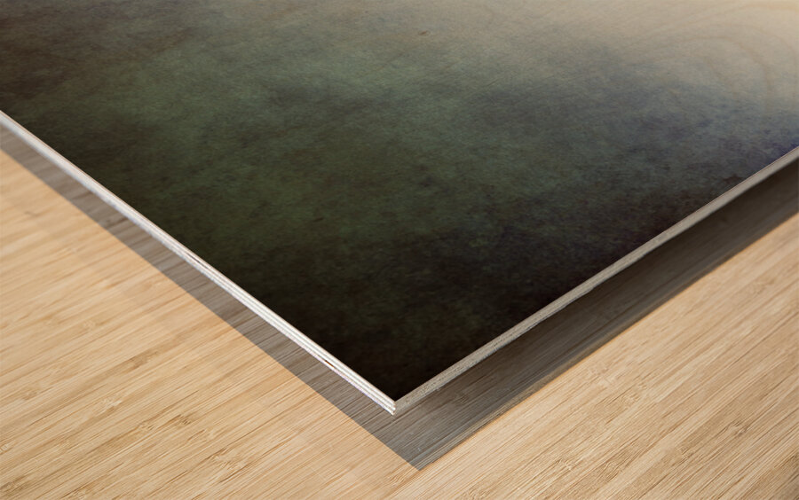 Rustic Pastoral Australia Wood print