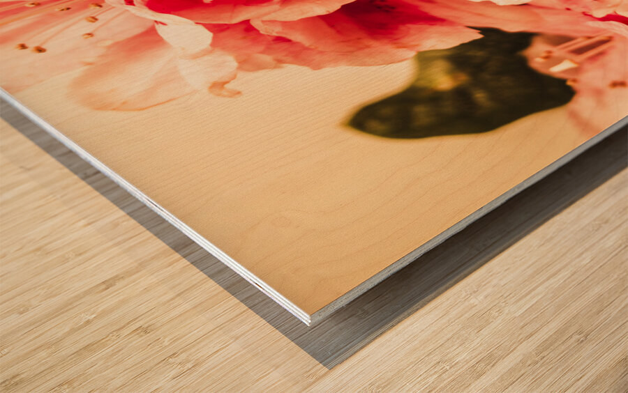 Shabby chic romances Wood print