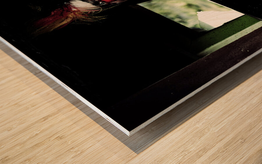 Mr Bungle The Kitchen Clown Wood print