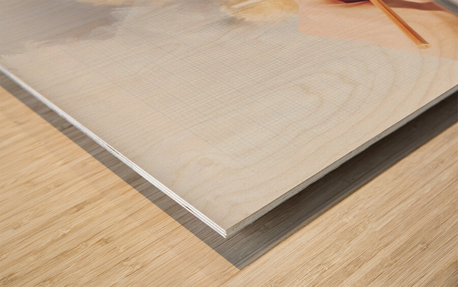 Environment engineer drafting sustainable design Wood print