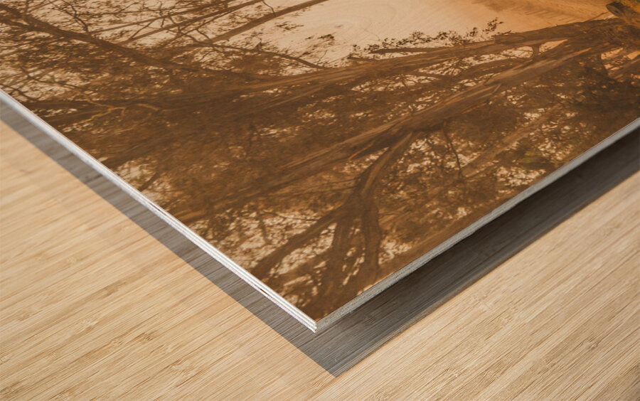 Peaceful Tasmania country road Wood print