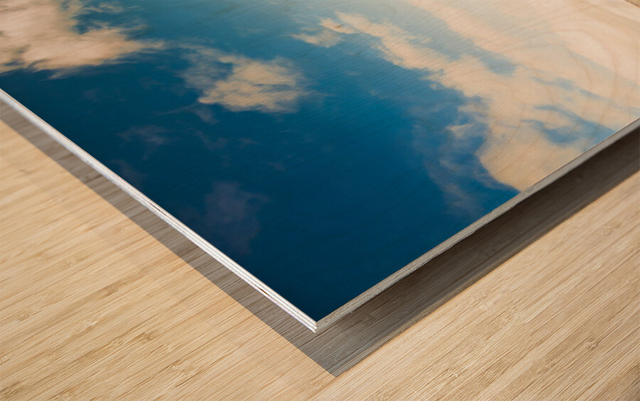 Australian open spaces  Wood print