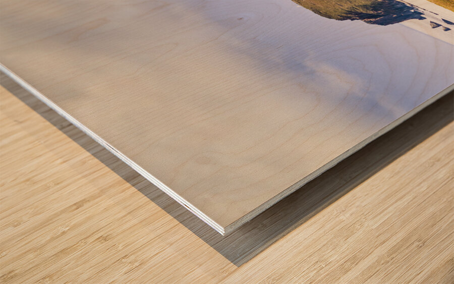 South Bruny National Park Wood print