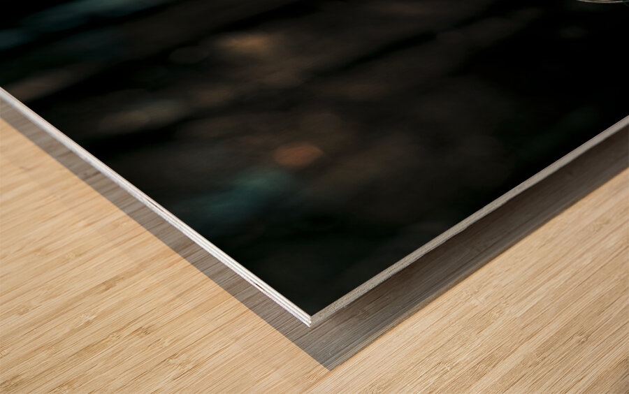 Valley Of Death Wood print