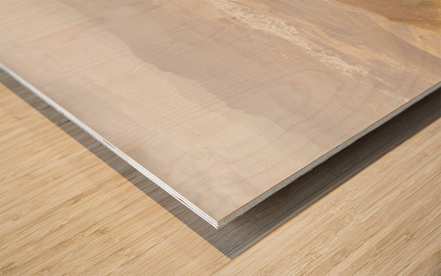 Views On West Coast Tasmania  Wood print