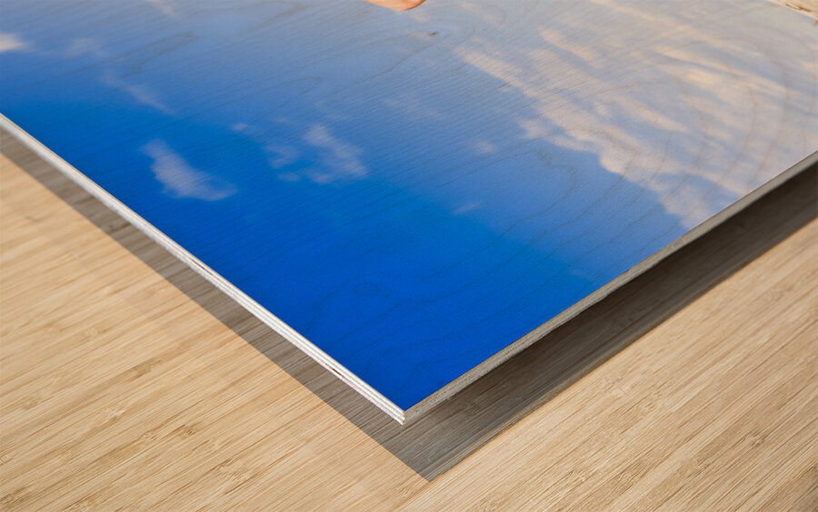 Travel Holiday Lookout Wood print