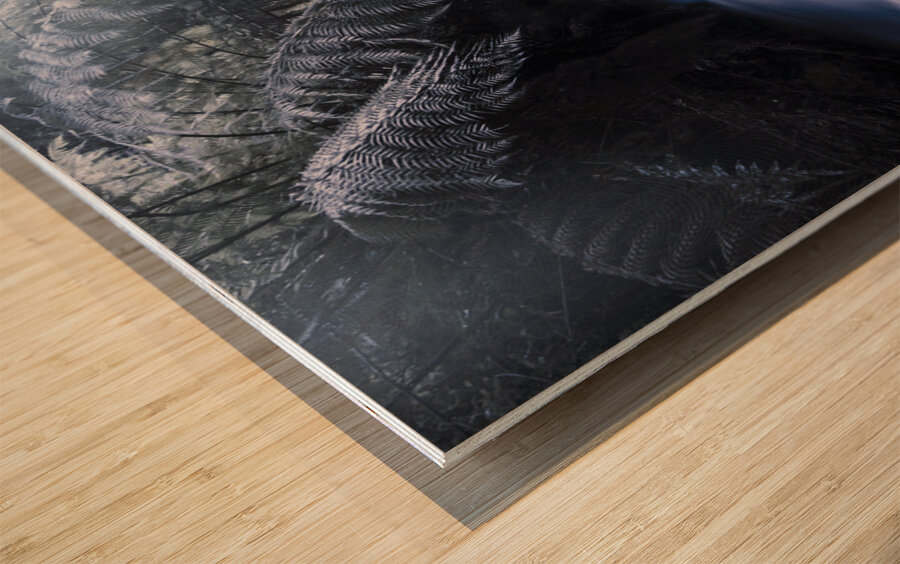 Serene moonlit river Wood print