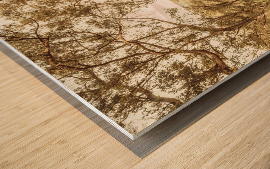 Elevated country Wood print