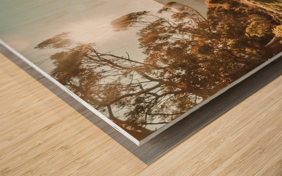 Dusky fields Wood print