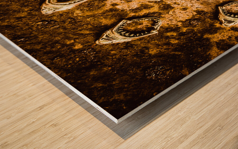 Killer shark jaws  Wood print