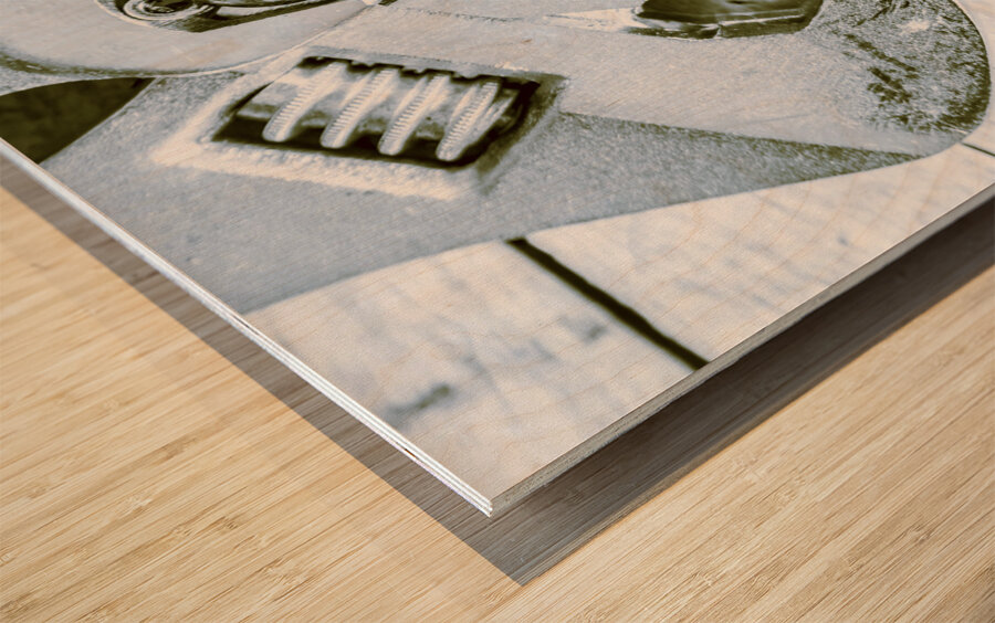 Screwed blockchain bots Wood print