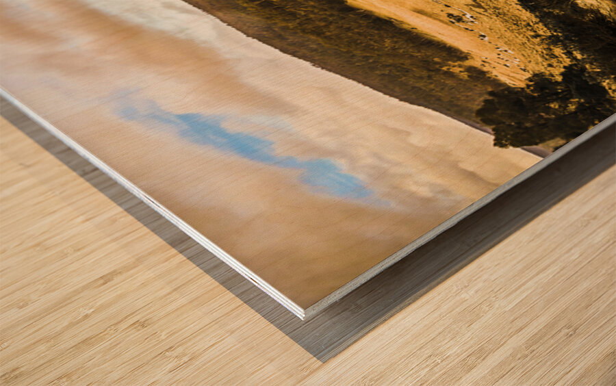 Bronte Park valley panorama  Wood print