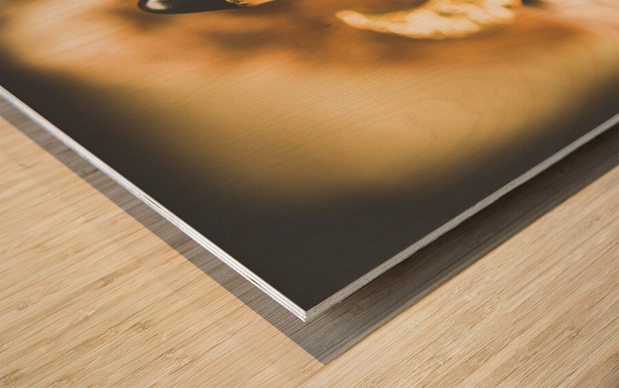 Moon rocket at space station on the dark side Wood print