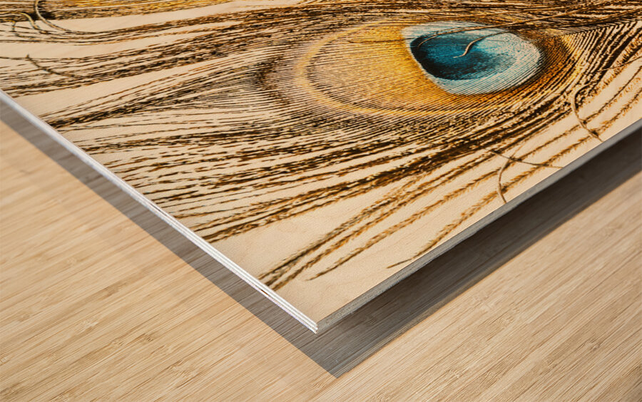 Regally golden Wood print