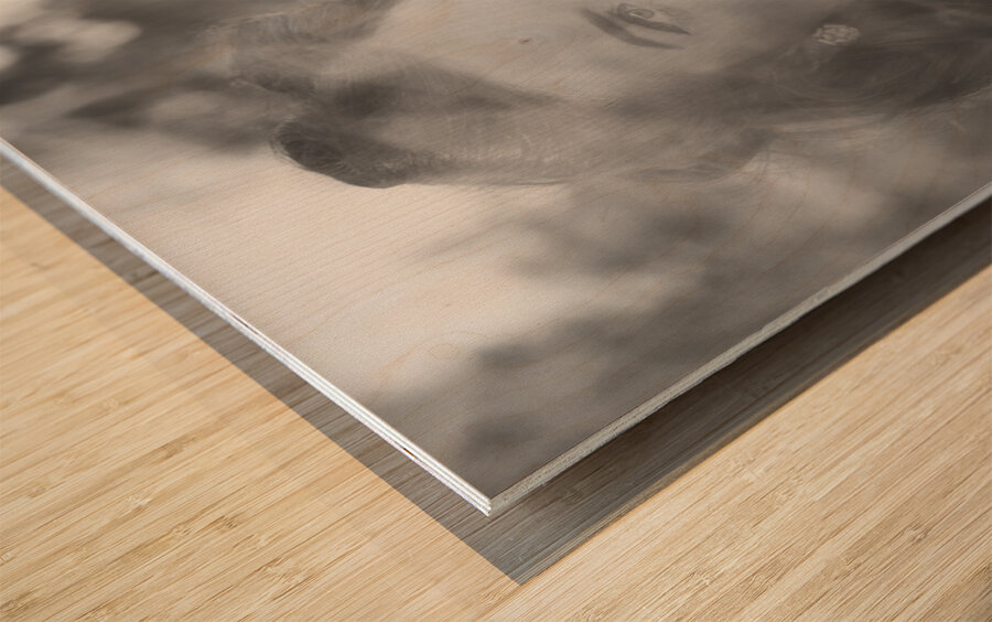 Film noir lady smoking cigarette on vintage street Wood print