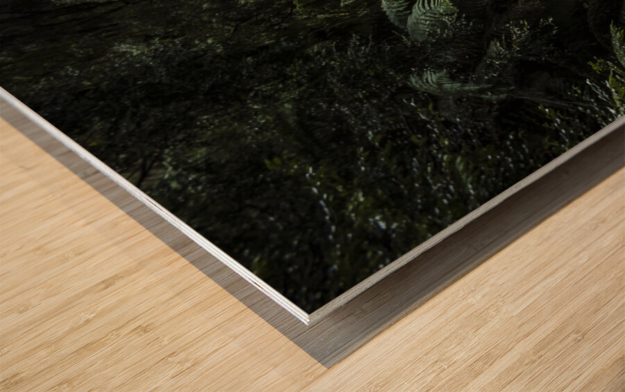 Jungle waters Wood print