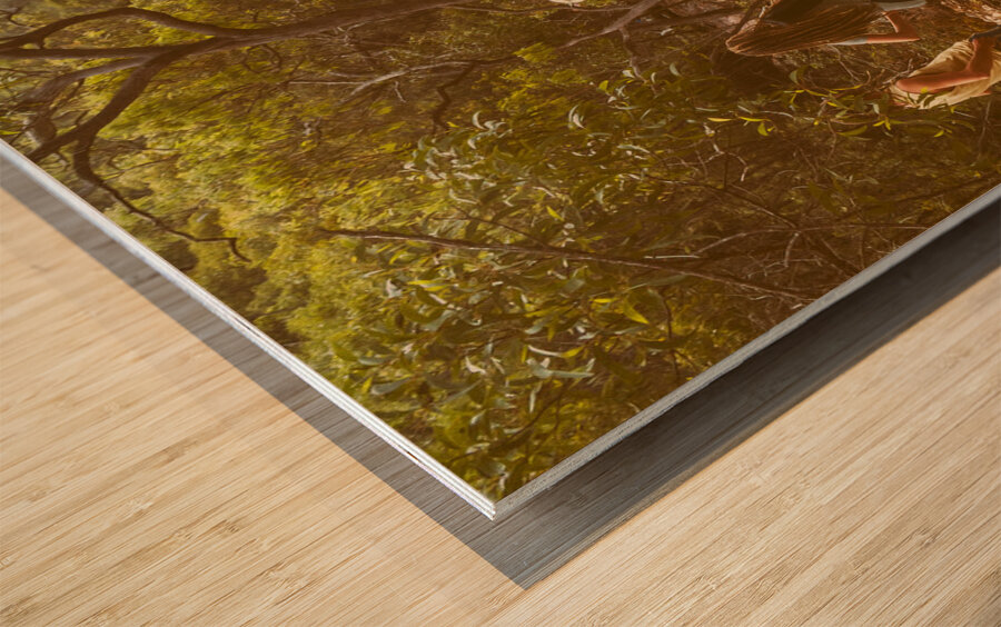 Waterfall outlook Wood print