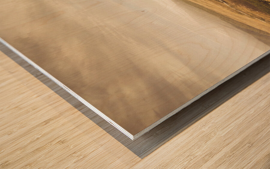 Remote roads and foggy coastlines Wood print