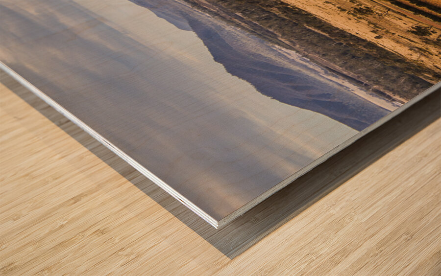 Vineyard harvest landscape Wood print