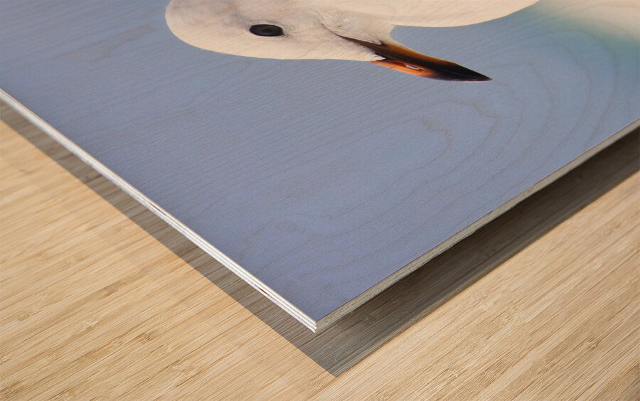 Ocean Bird Wood print