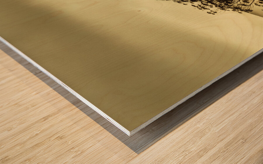 Toned view of a snowy Mount Gell Tasmania Wood print