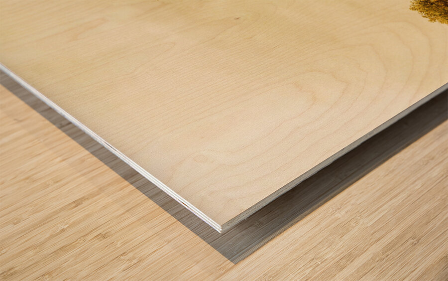 Lighthouse lane Wood print