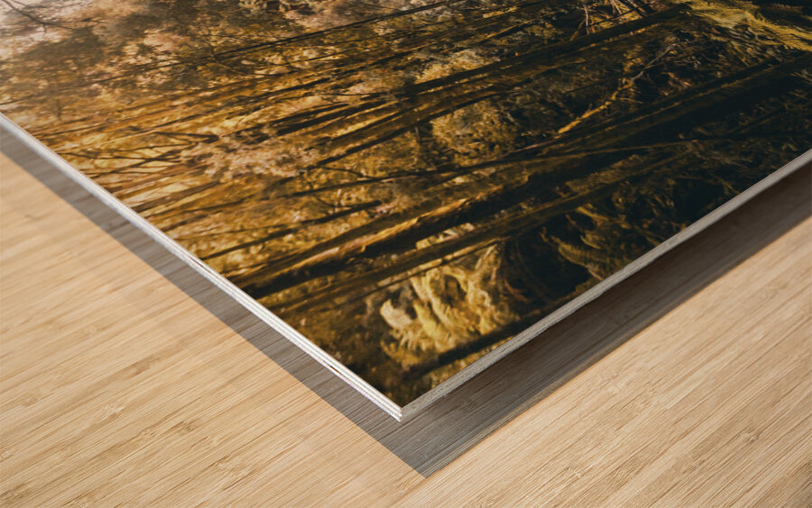 Falls in fall Wood print