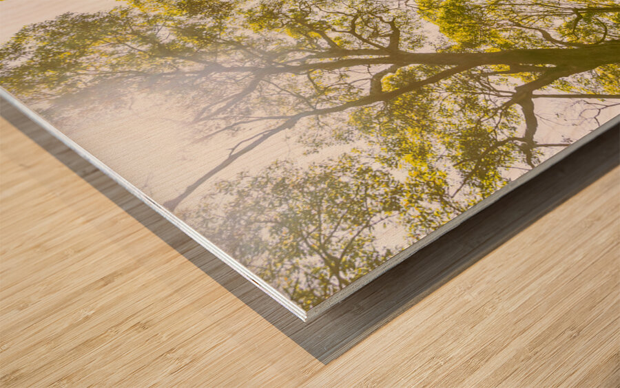 Country wide Wood print