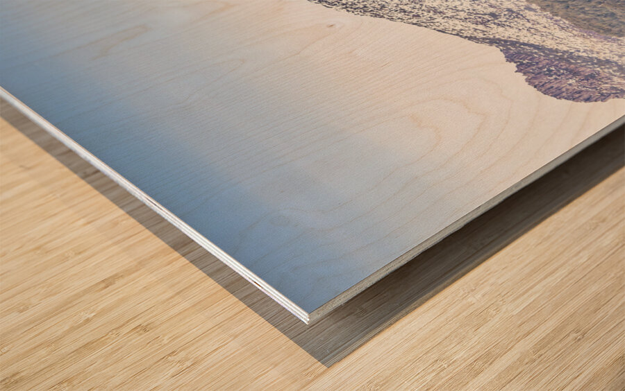 Beautiful landscape with partly snowed mountain  Wood print