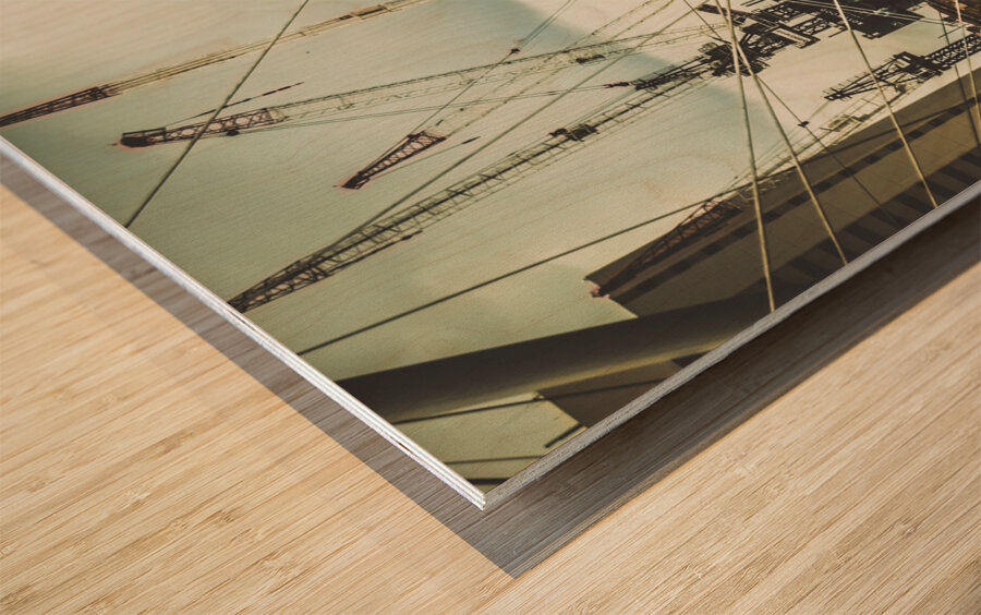 Busy and the build Wood print