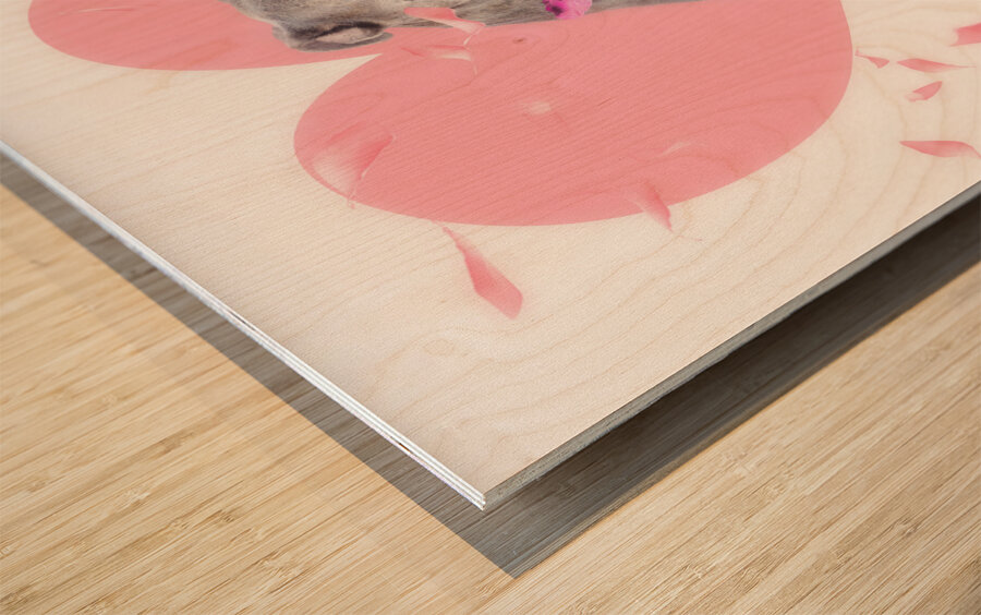 Dog with pink rose on heart shape background Wood print