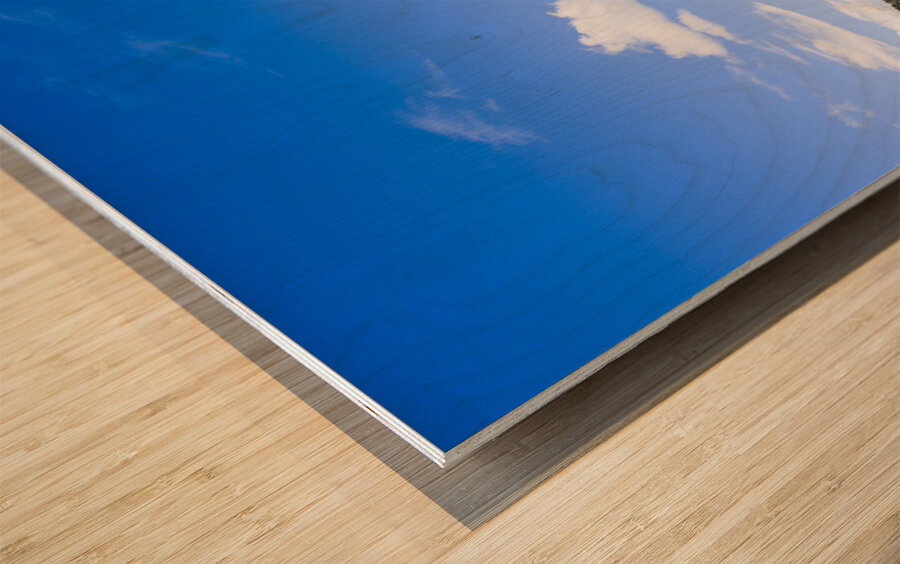 Arid agricultural landscape in South Tasmania Wood print