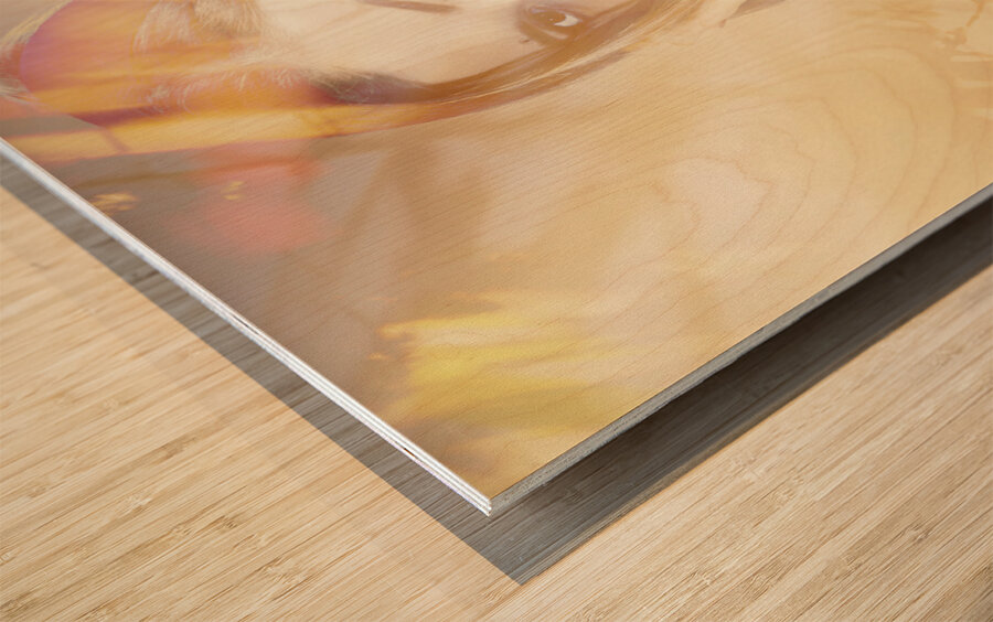 Fashion reflections Wood print