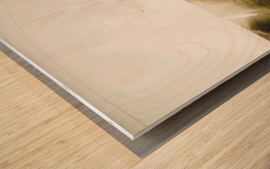 Australian rural road Wood print