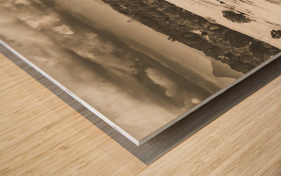 Pastoral plains Wood print