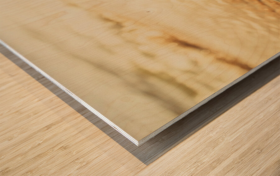 Seafaring scenes Wood print