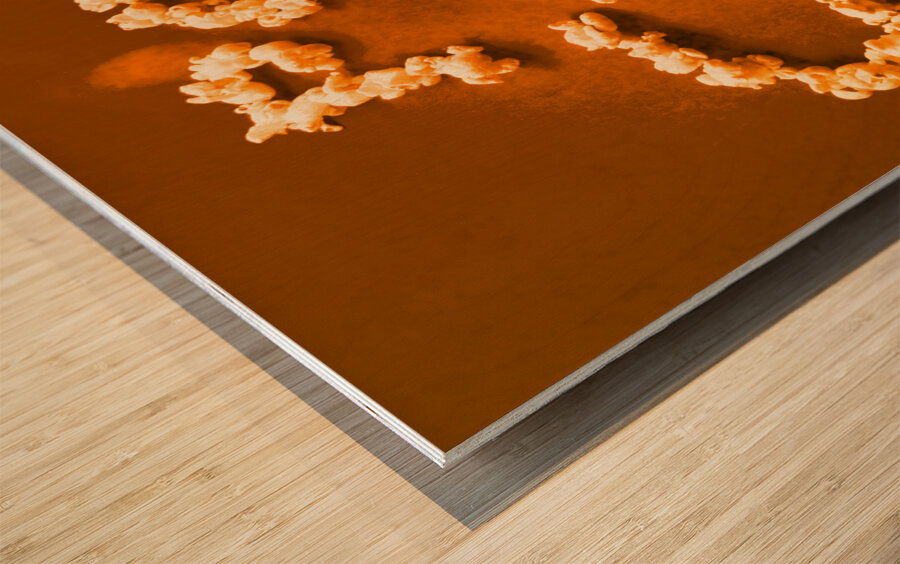 The credits Wood print