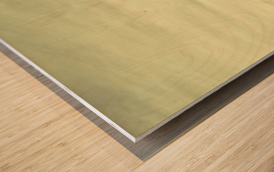 Sheep grazing in rustic Richmond Wood print