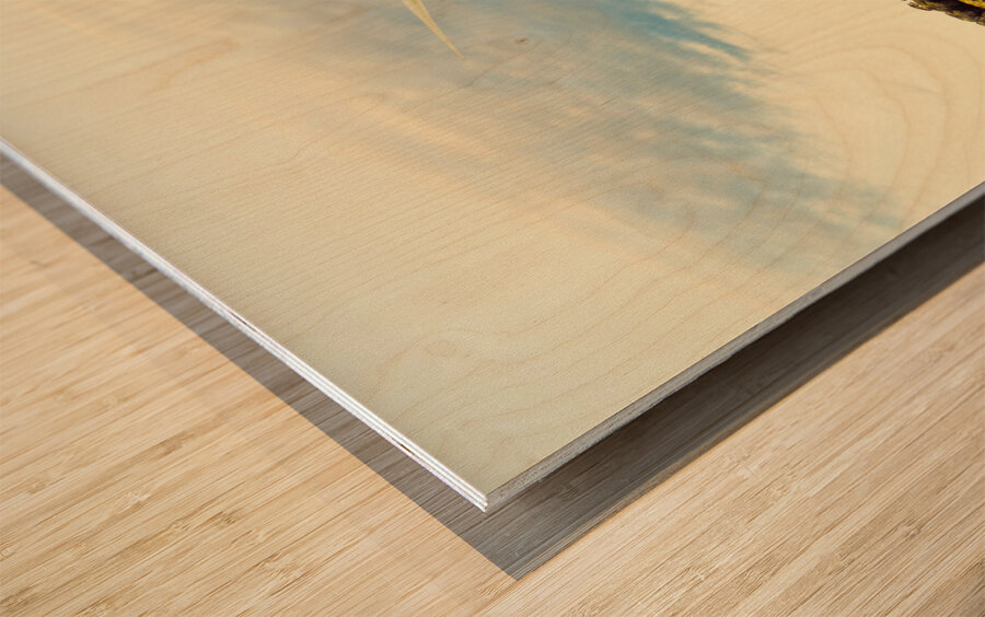 Green Tasmania Wood print