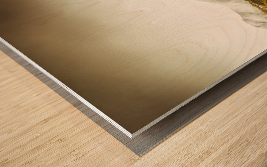 Mountain of trees Wood print