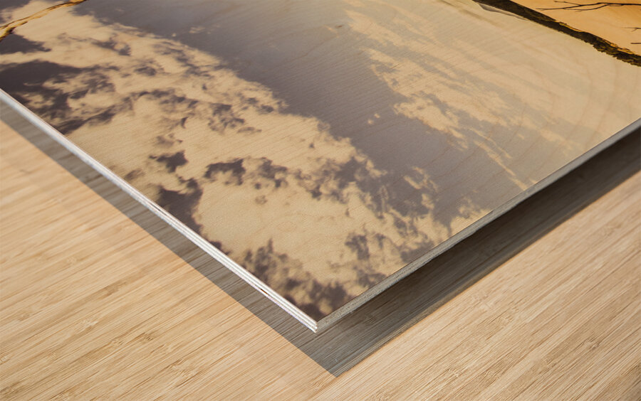 Tasmanian desert tree landscape Wood print