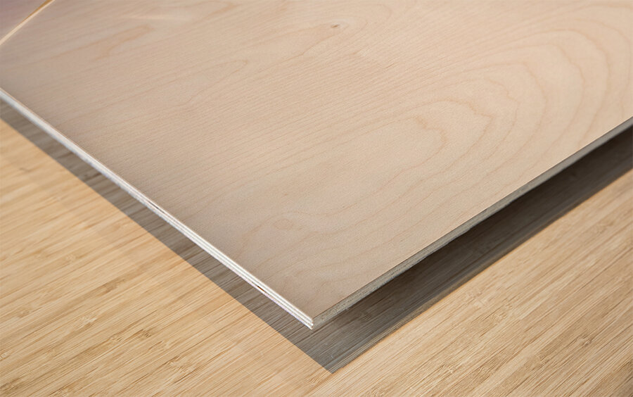 Sunlit wind power Wood print