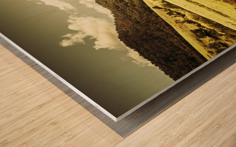 Peaceful panoramic pasture Wood print
