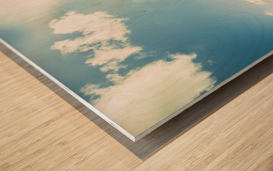 Spring country Wood print