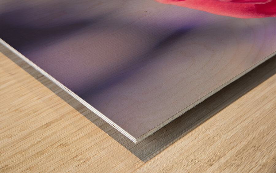 Rosy romantics Wood print